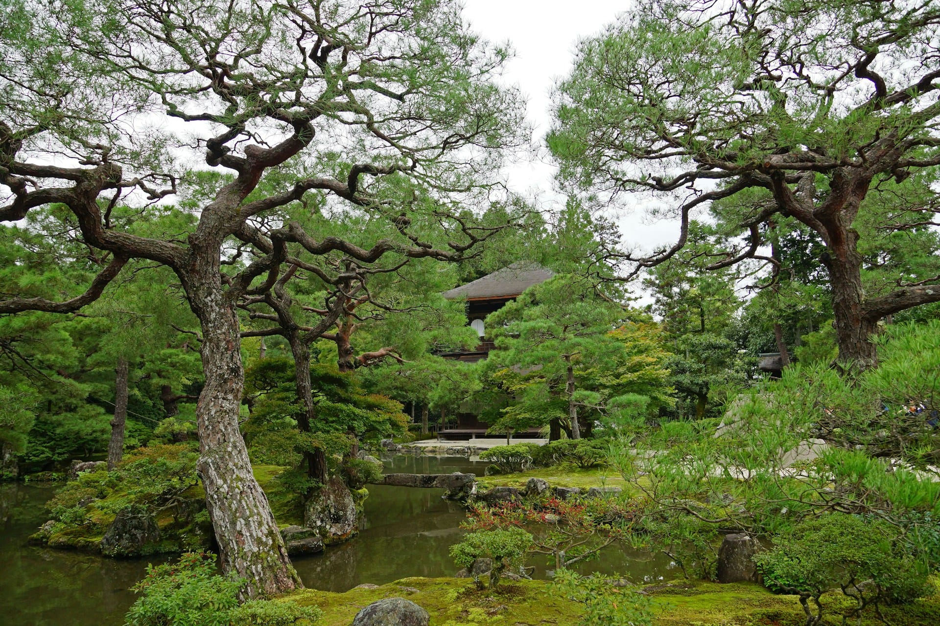 a lush green japanese garden with layers of paths and a building peeking through the trees in the background